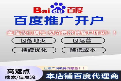百度SEO推广策略：如何快速提升网站排名？——案例详解